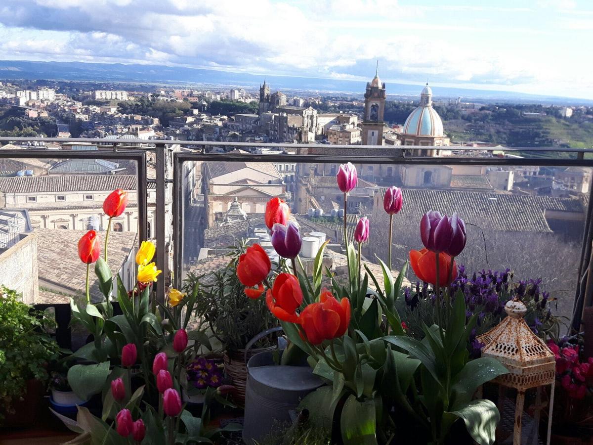 Frühstückspension Casa Tipica Siciliana Patronale Tremetrisoprailcielo Con Vista, Colazione Interna In Terrazzo Panoramico