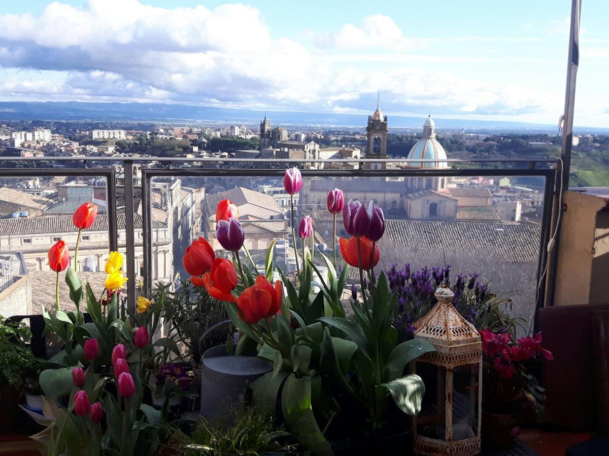 Casa Tipica Siciliana Patronale Tremetrisoprailcielo Con Vista, Colazione Interna In Terrazzo Panoramico Frühstückspension 2*