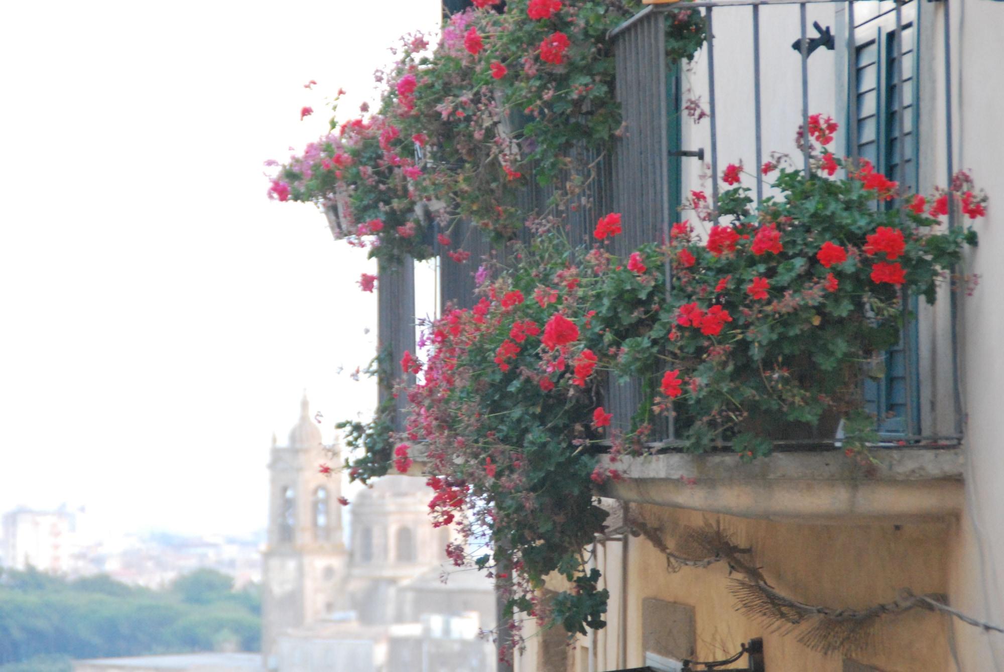 Casa Tipica Siciliana Patronale Tremetrisoprailcielo Con Vista, Colazione Interna In Terrazzo Panoramico 2* Caltagirone