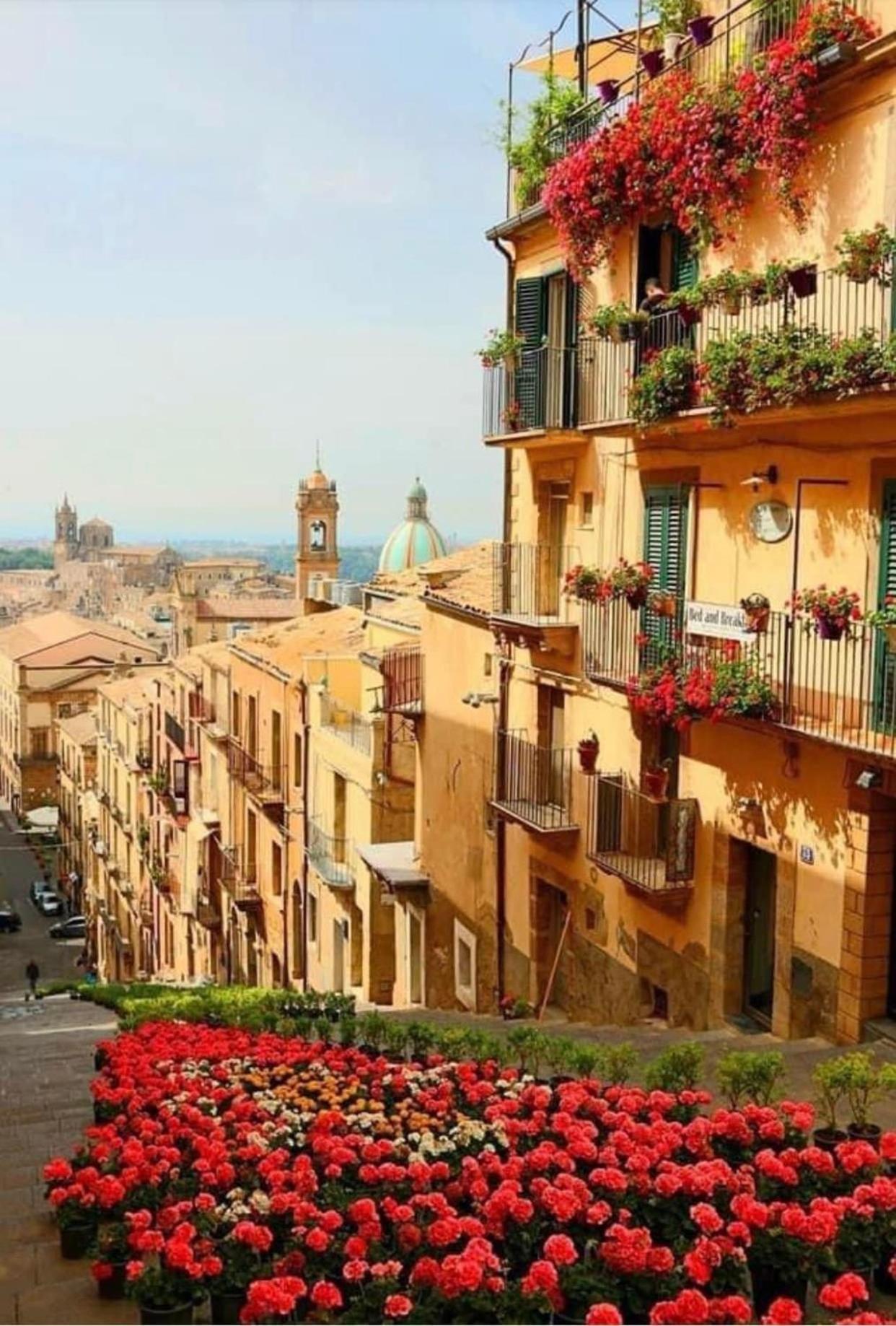 Frühstückspension Casa Tipica Siciliana Patronale Tremetrisoprailcielo Con Vista, Colazione Interna In Terrazzo Panoramico