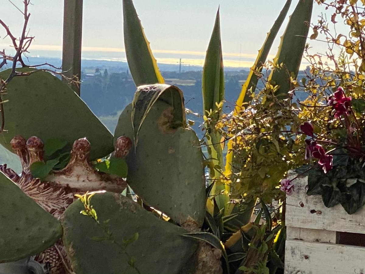 Casa Tipica Siciliana Patronale Tremetrisoprailcielo Con Vista, Colazione Interna In Terrazzo Panoramico
